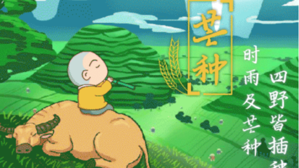 讓我（wǒ）們在芒種這個節氣裏發揚農（nóng）民的精神創造屬（shǔ）於自己的美好未來