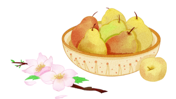驚（jīng）蟄（zhé）又到要吃梨